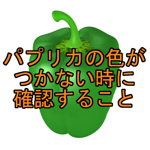 パプリカを栽培するときの悩み 色がつかない場合の対処方法と原因とは クロネコのトレンド情報サイト